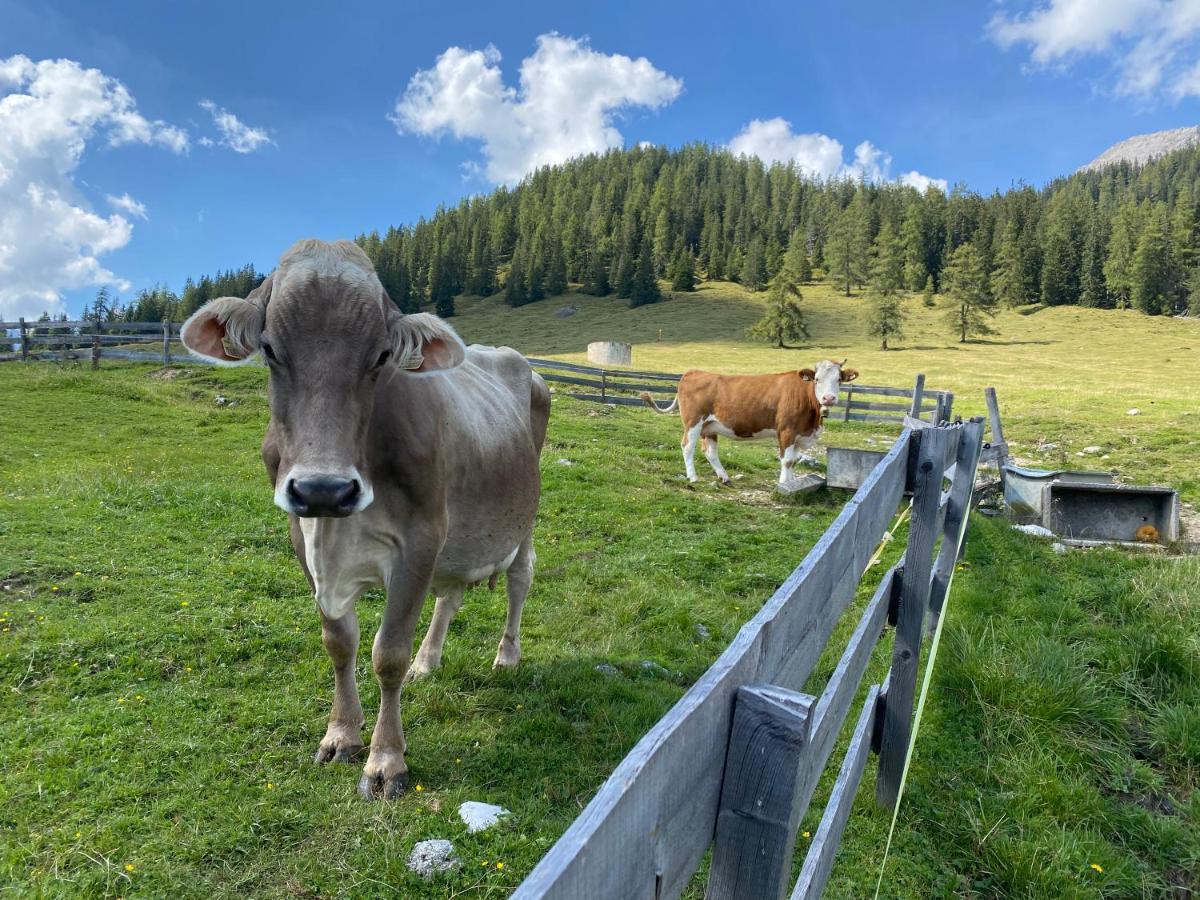 Haemmermoosalm Leutasch Esterno foto