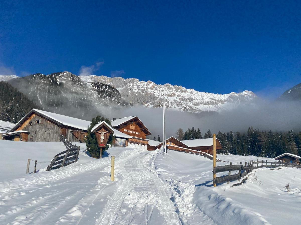 Haemmermoosalm Leutasch Esterno foto